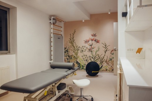Reference iz fizioterapije in rehabilitacije