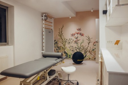 Reference iz fizioterapije in rehabilitacije