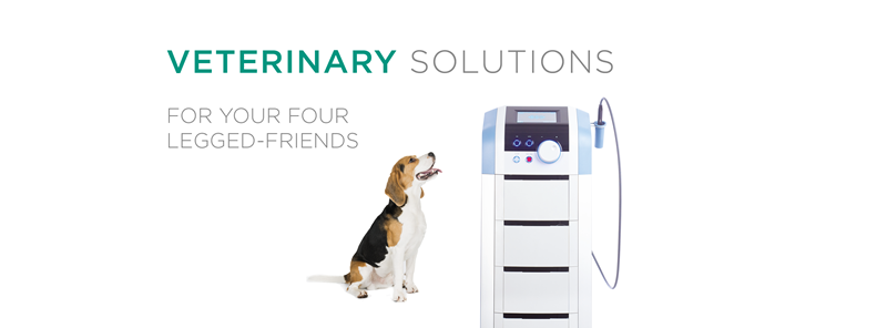 BTL veterinarski laserji